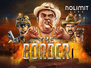 The Border game icon